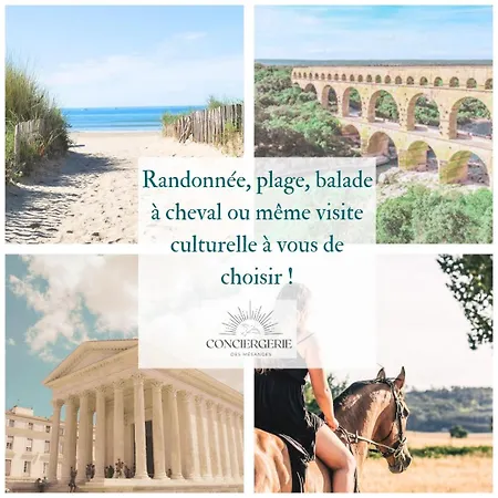 Maison Vigneronne *